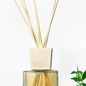 Endast idag Hem Fragrance Oud Wood 2,5 Lt med pinnar - Ventodisardegna