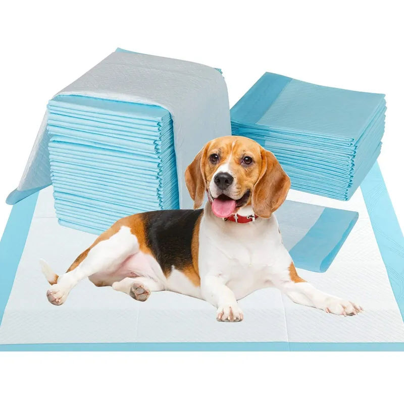 Hundträningsmattor – Läckagesäker, 6-lagers, 90x60cm, 150-pack Premium